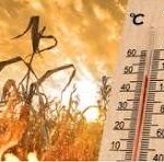 हाई अलर्ट-हीट वेव…