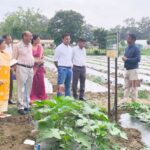 उद्यानिकी निदेशक-सह-आयुक्त सौरभ सुमन ने सब्जी अनुसंधान फार्म का आधिकारिक भ्रमण किया